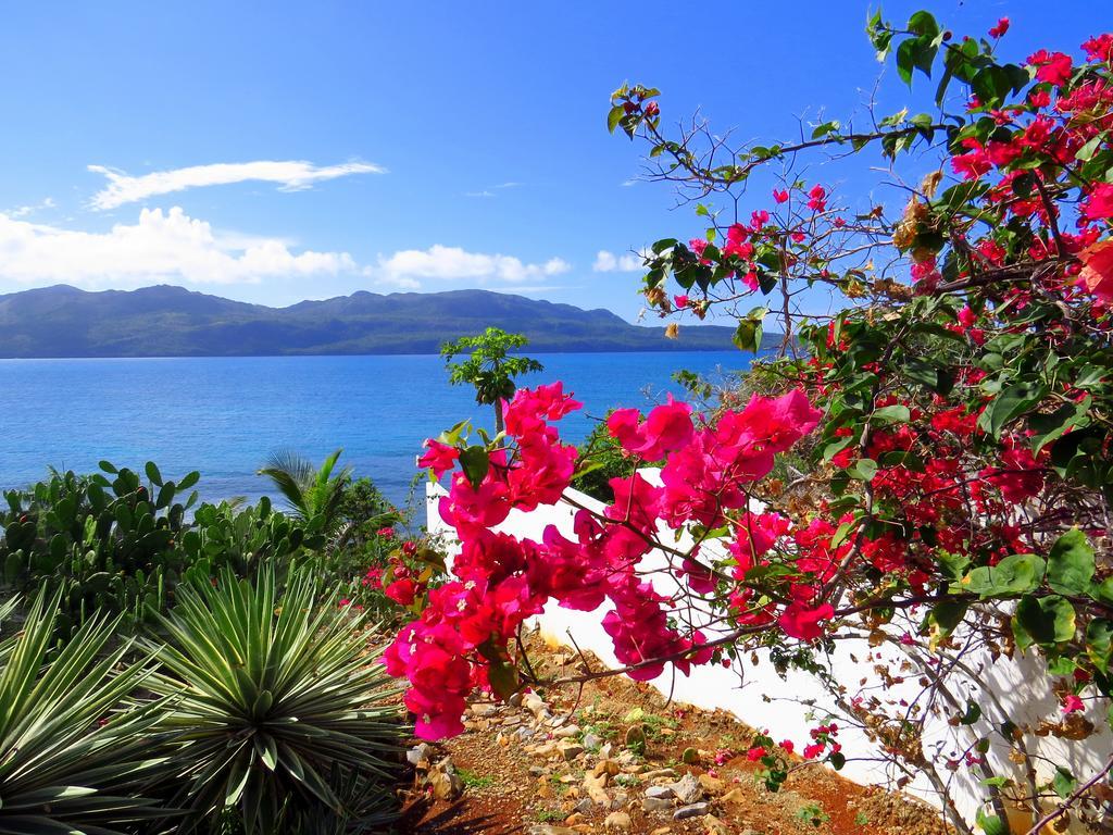 Villa Salamandra Las Galeras Eksteriør billede