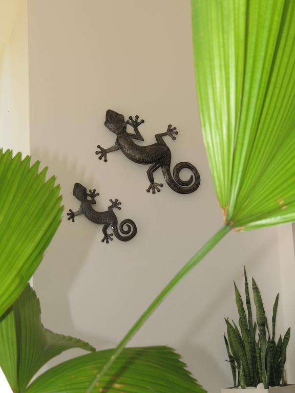 Villa Salamandra Las Galeras Eksteriør billede